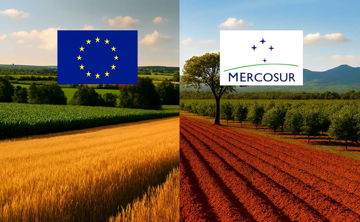 mercosur